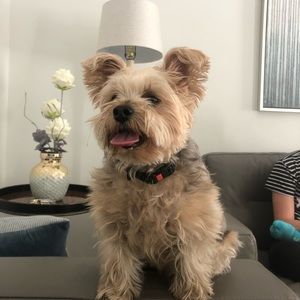 Meet your Posher, Sabrina